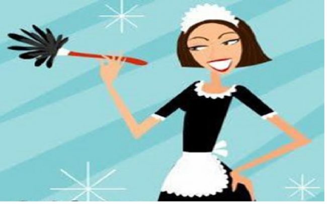 Empregada Domestica Empregada Domestica