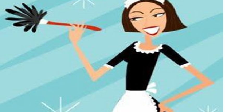 Empregada Domestica Empregada Domestica